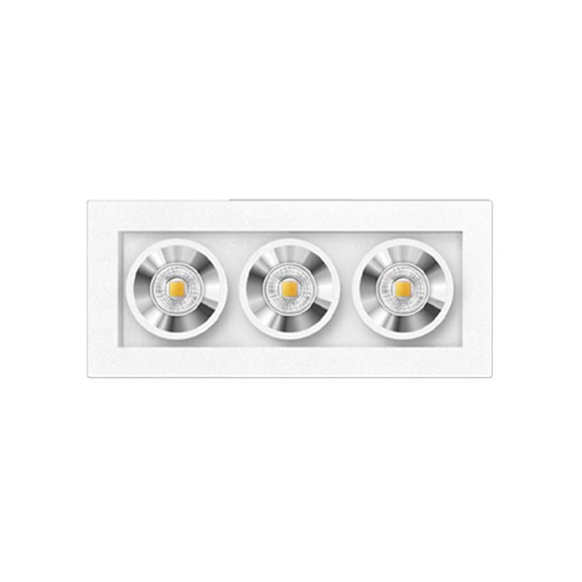 Multiple Downlight Downlight