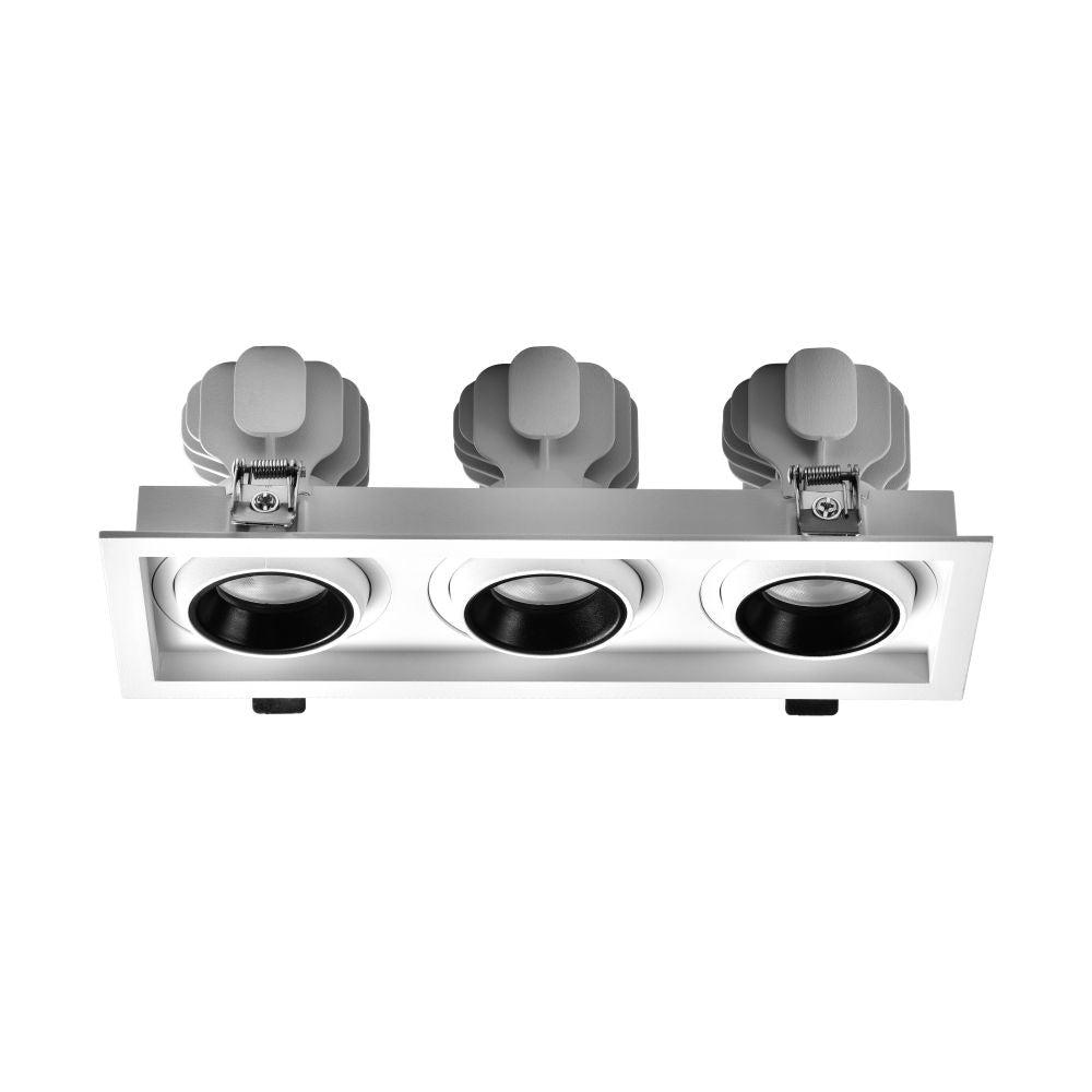 Front view of a modular multiple recessed downlight.