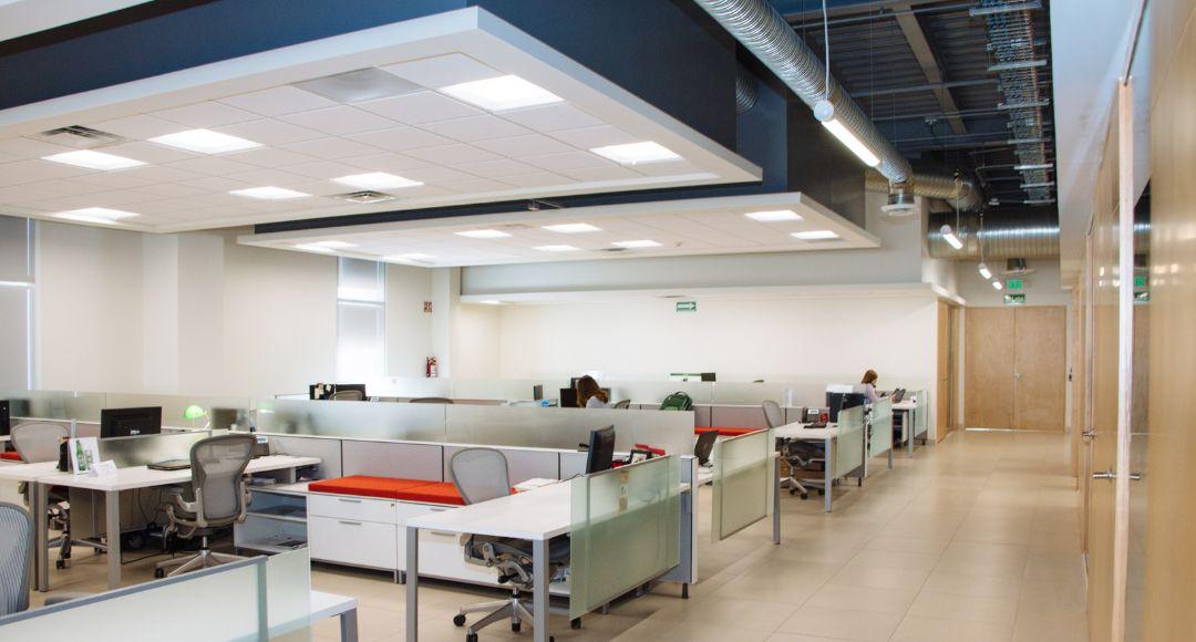 Low-glare recessed panel lighting providing comfortable illumination across a modern open-plan office
