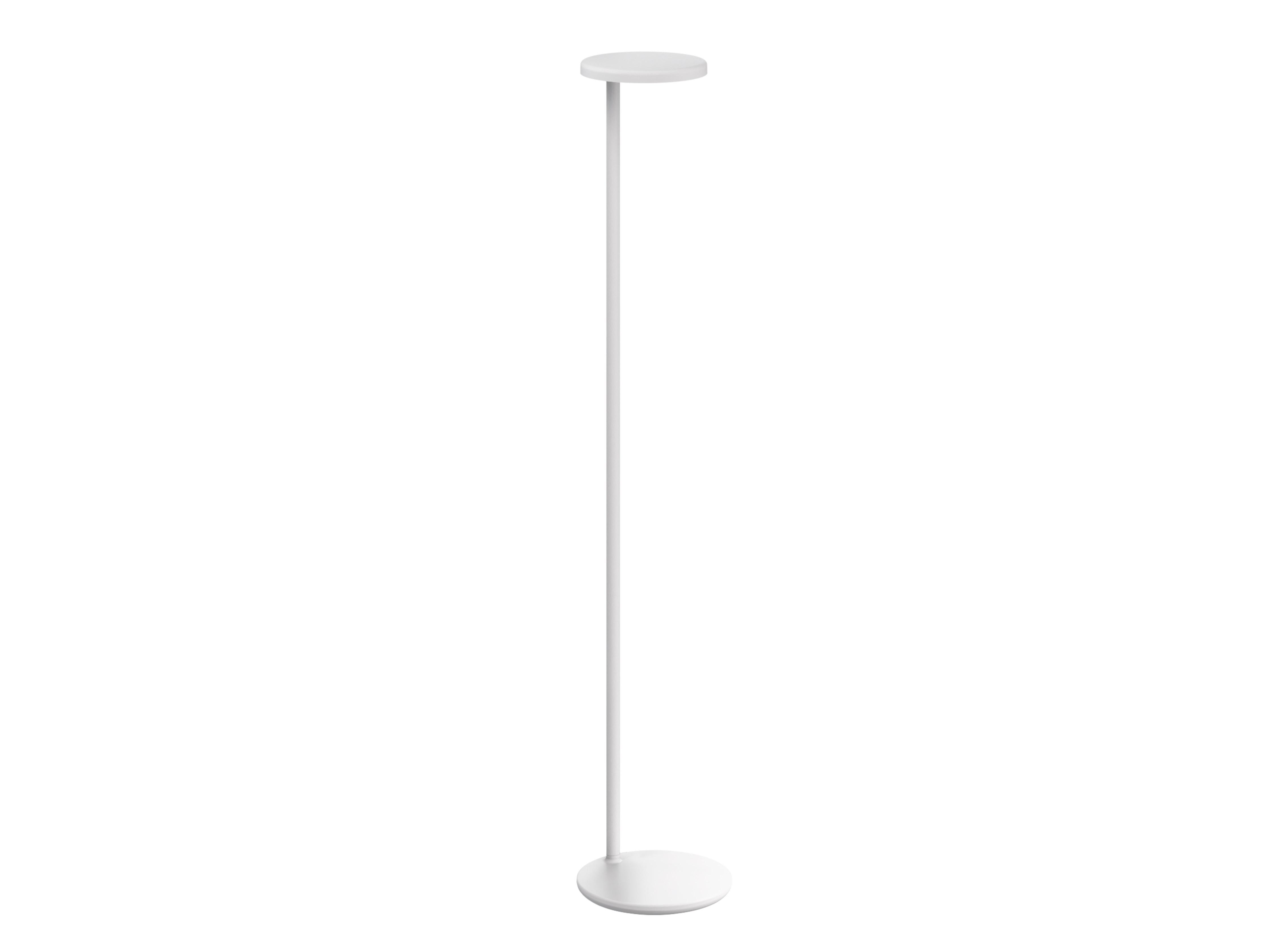 Minimal floor lamp photographed on a clean white background showcasing its slim architectural silhouette and premium finish.