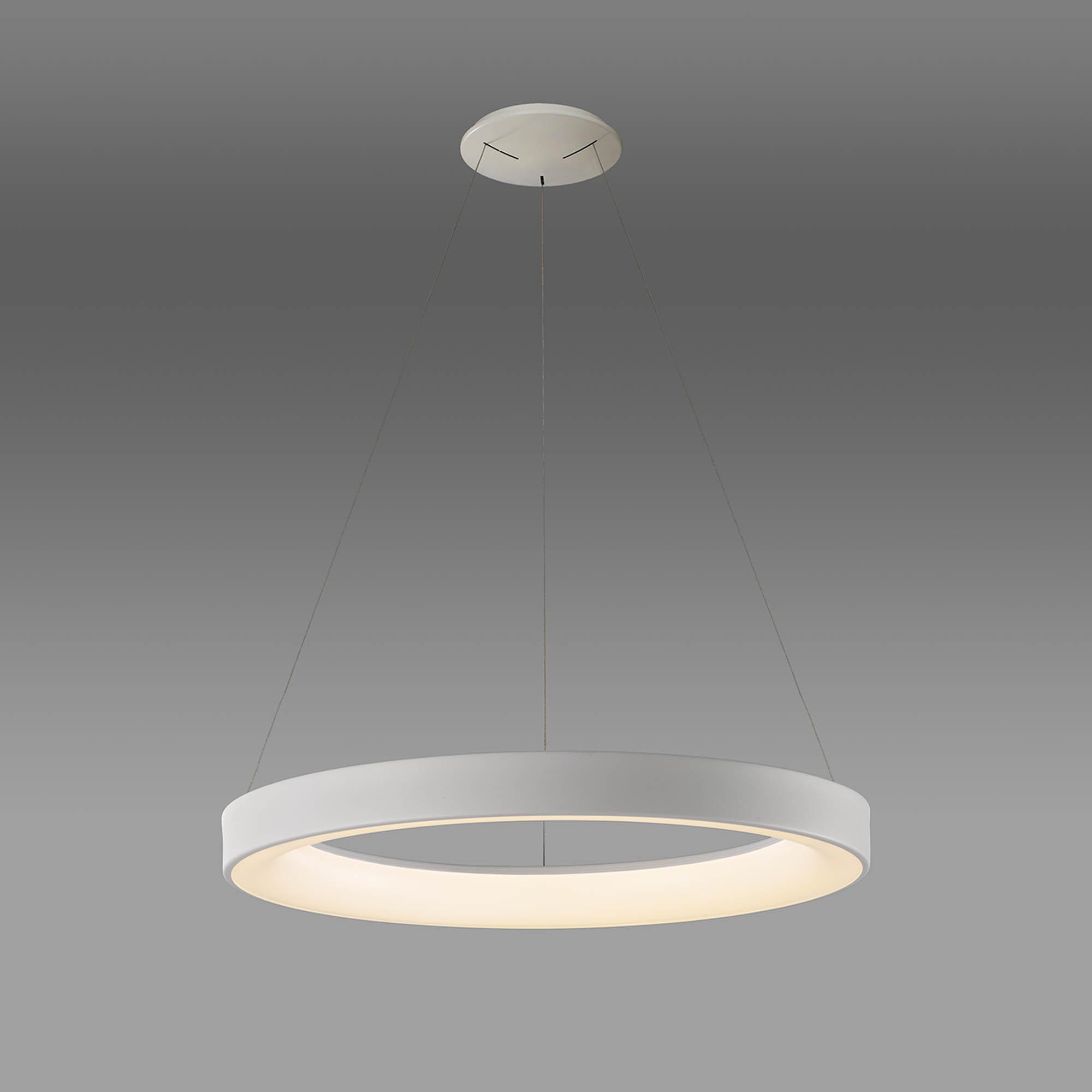 Front view of a contemporary ring pendant light for architectural interiors.