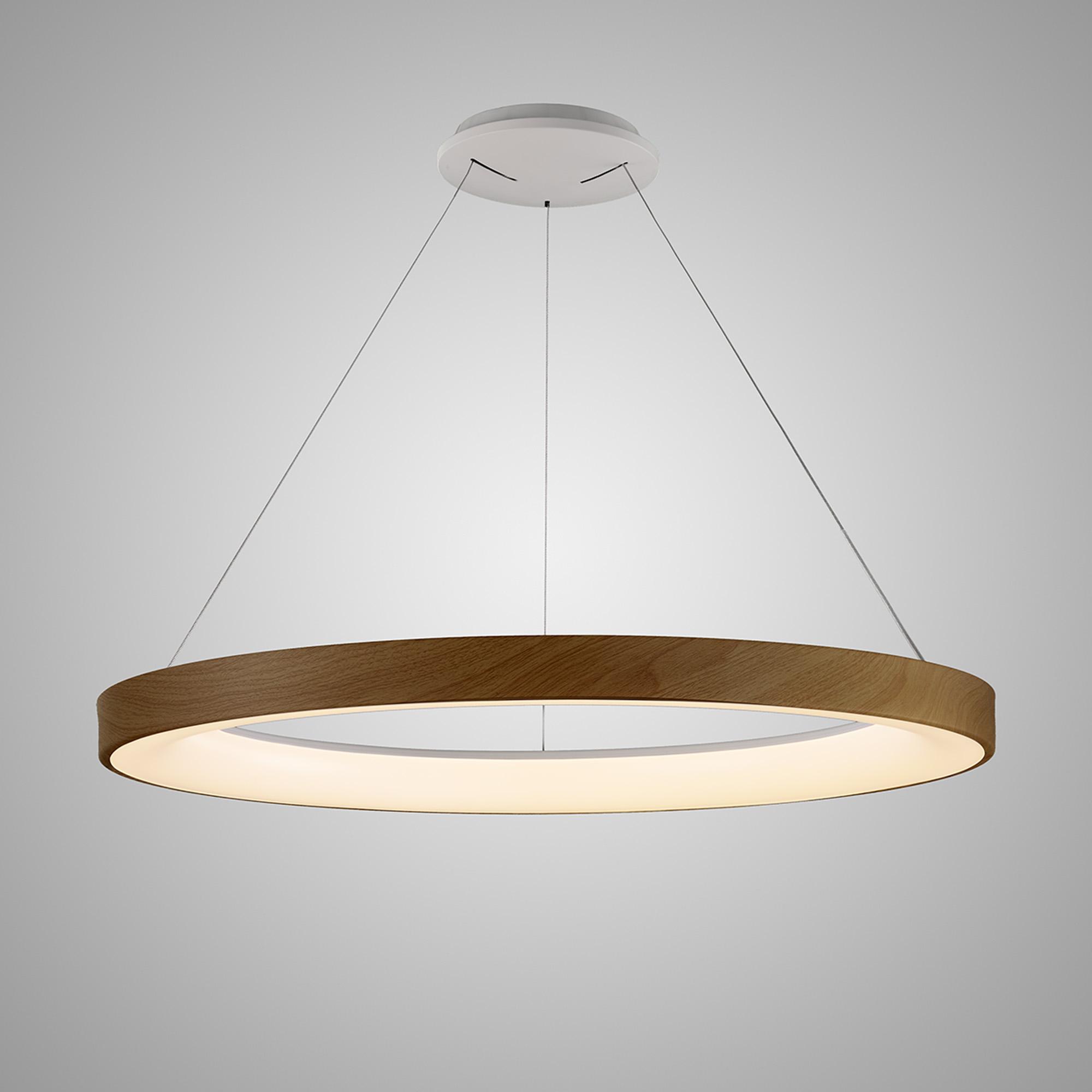 Front view of a contemporary ring pendant light for architectural interiors.