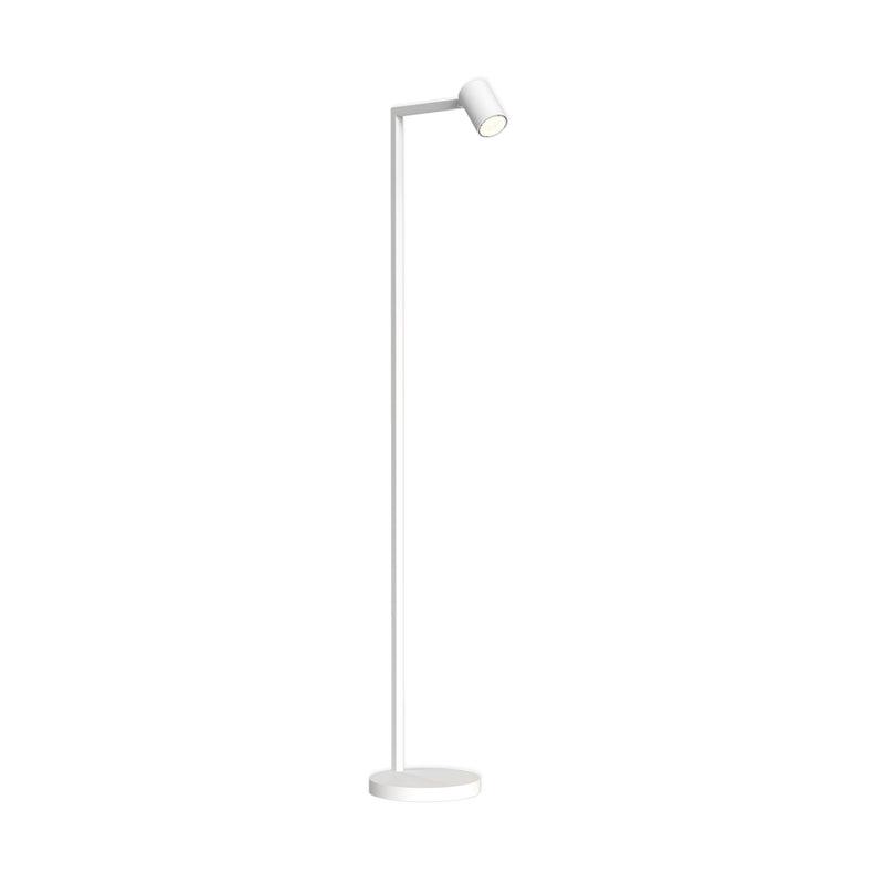 Reading floor lamp photographed on a clean white background showcasing its adjustable head, slim profile and premium finish.