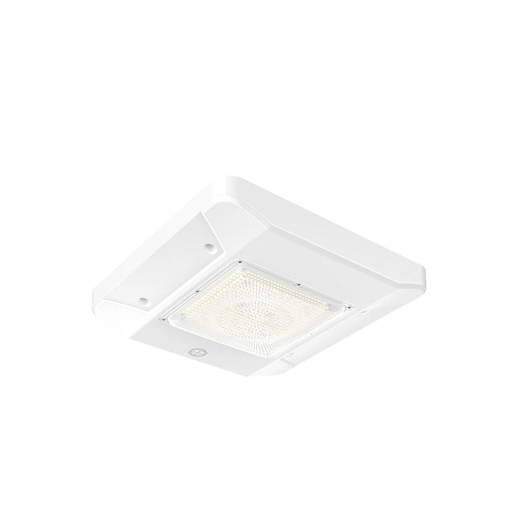 LED Canopy Light