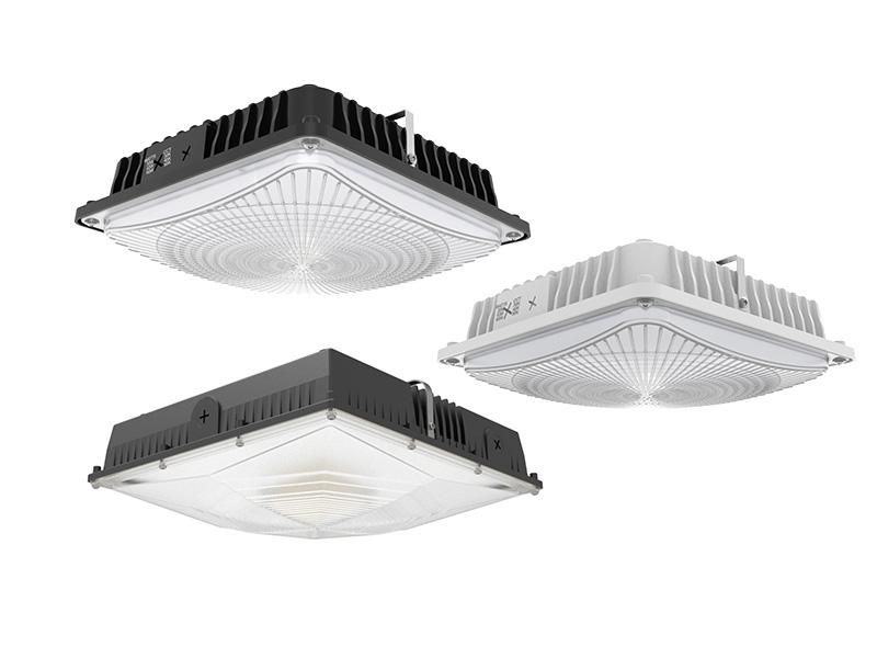 LED canopy light family with size and power variations.