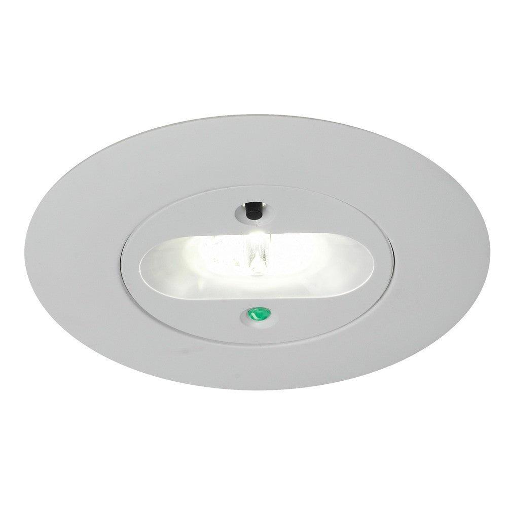 Emergency Light