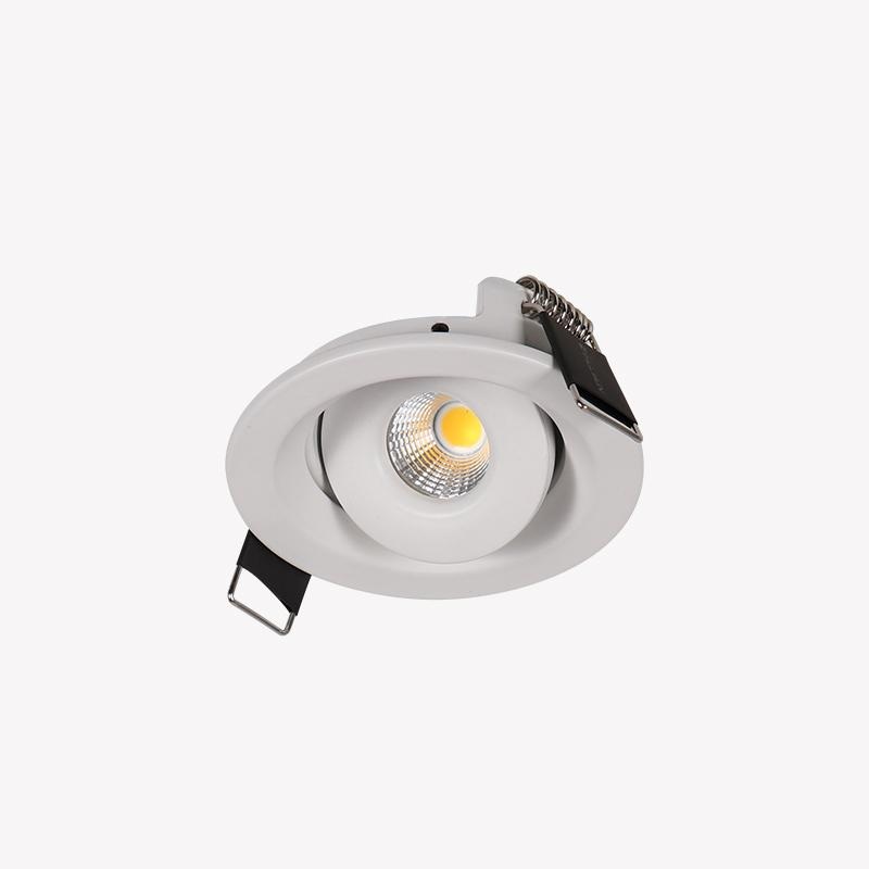 Adjustable Accent Downlight