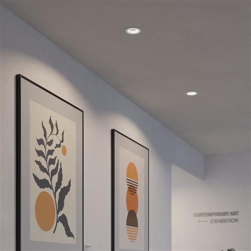 Recessed adjustable gimbal downlights directing light onto artwork in a gallery environment.