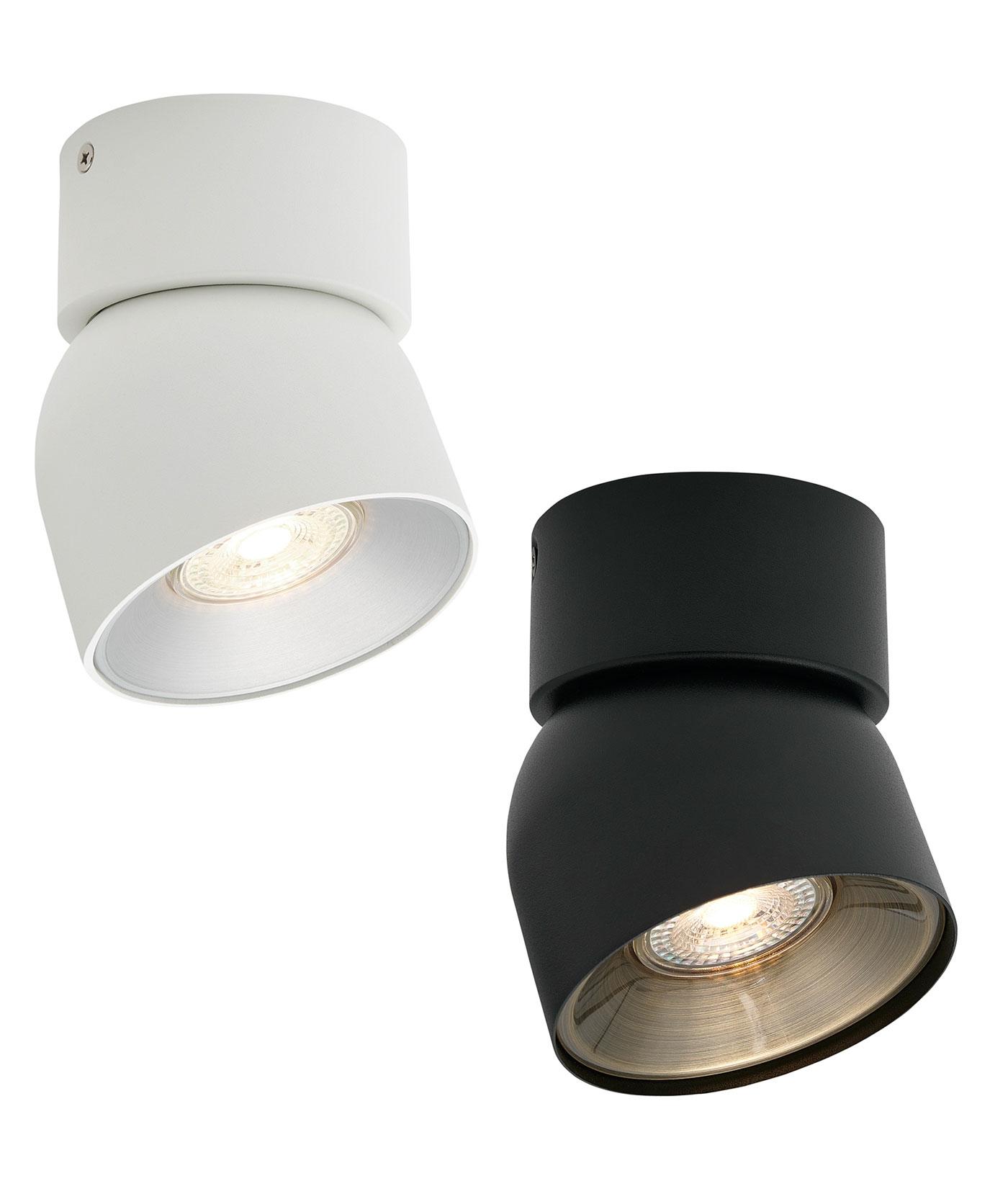 Surface spotlight family showing alternative finishes and housing variations.