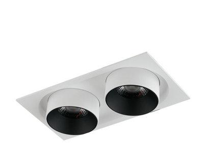 Twin Adjustable Downlight
