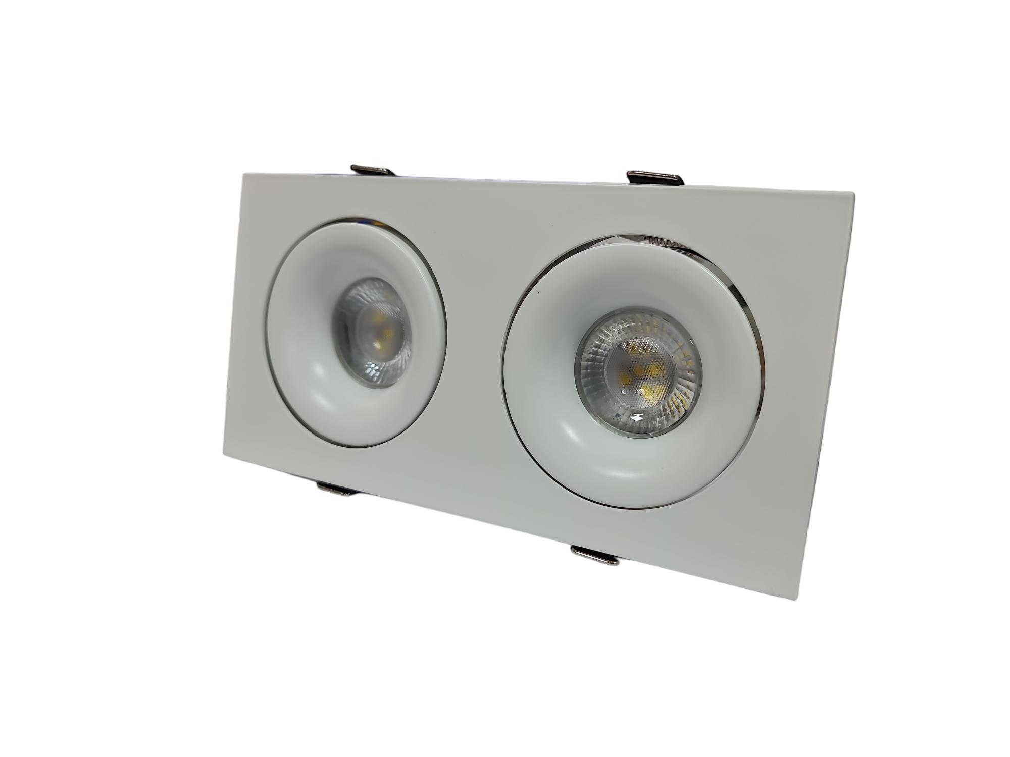Front view of a twin adjustable recessed downlight.