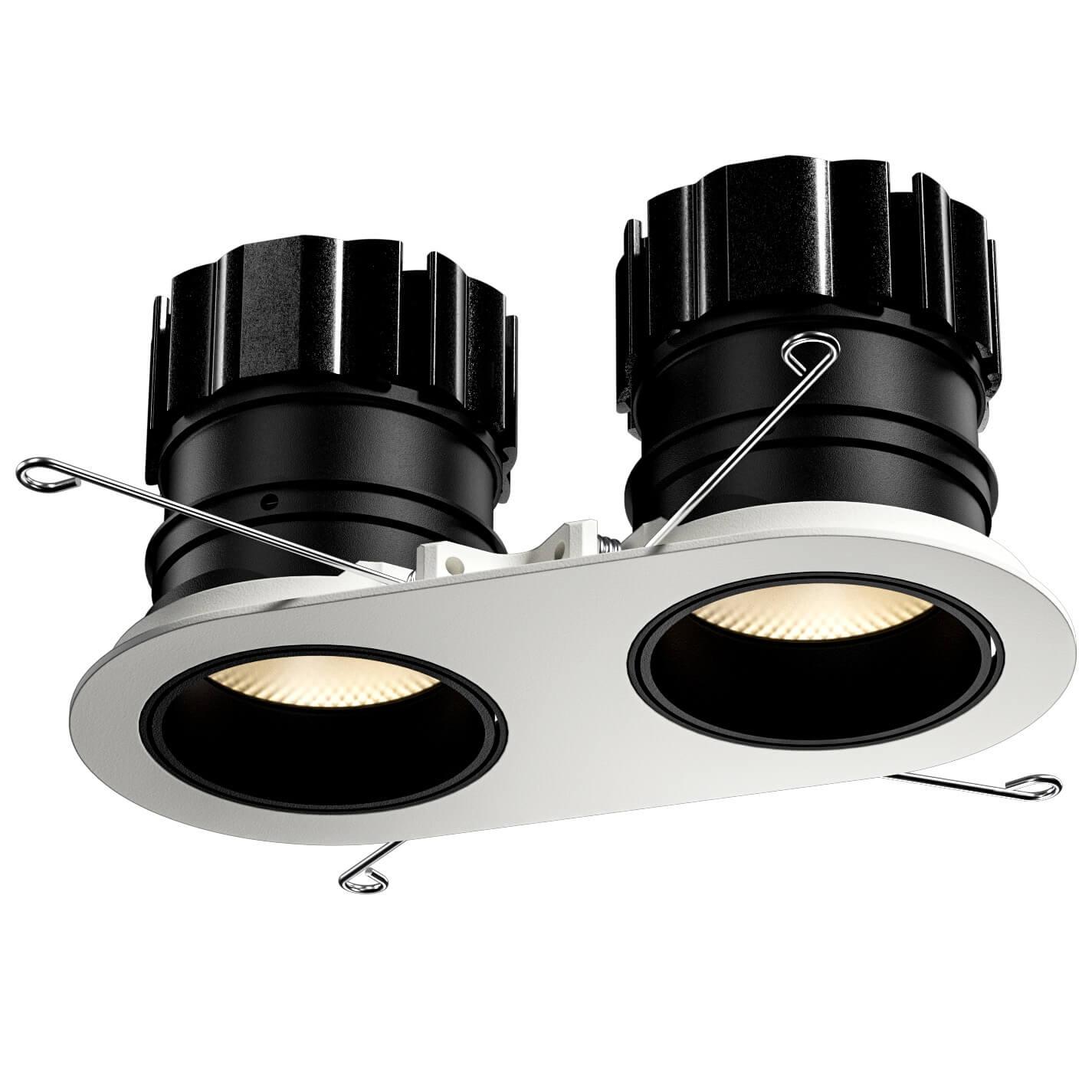 Twin adjustable downlight family with finish and size variations.