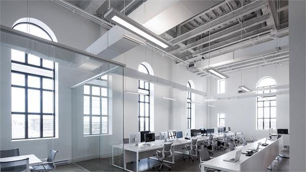Continuous suspended linear lights installed in a contemporary office environment.