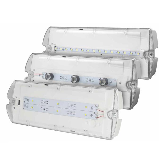 Emergency bulkhead light family with size and configuration variations.