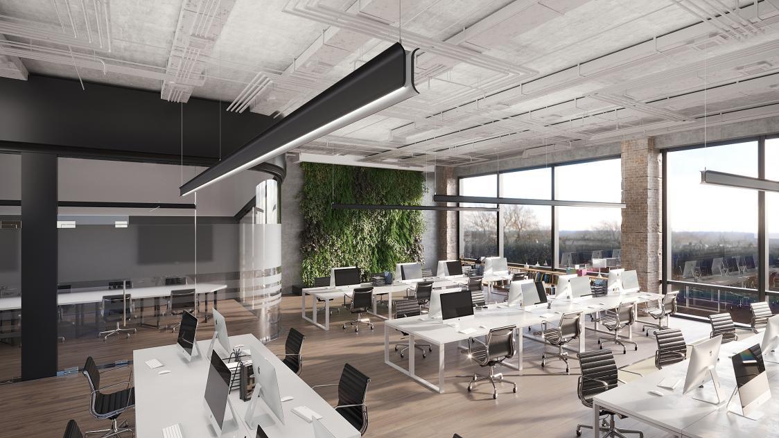 Human centric suspended linear lights installed in a contemporary office environment.