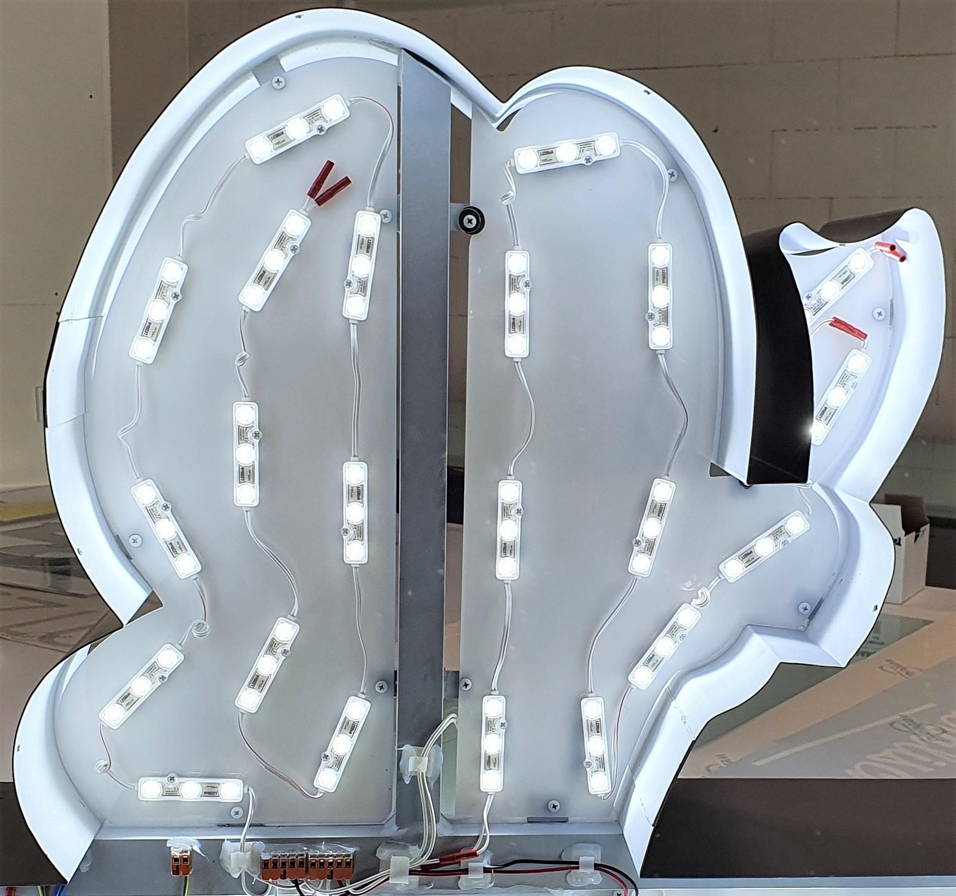 LED modules installed inside illuminated channel letters and custom signage applications.