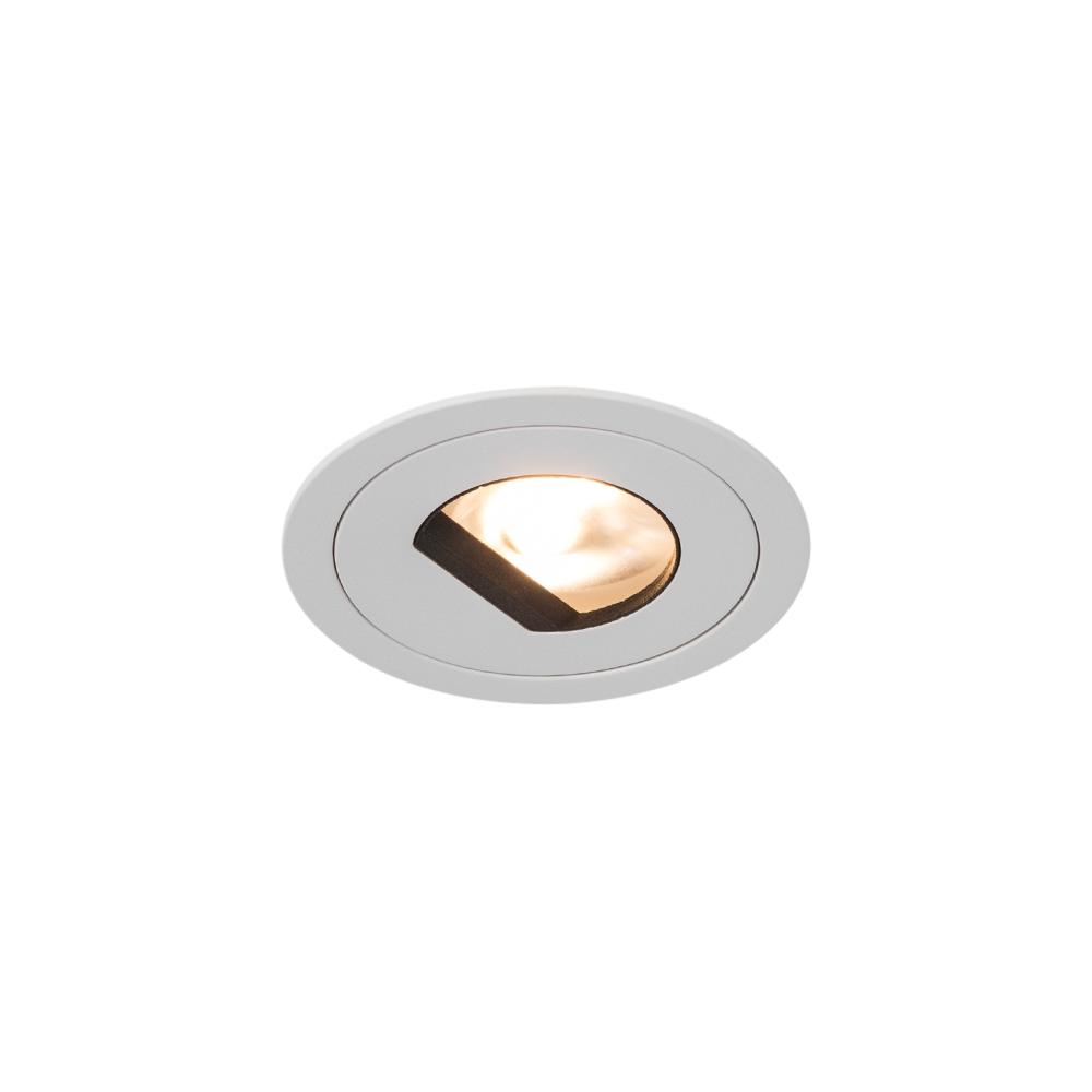 Wall Washer Downlight