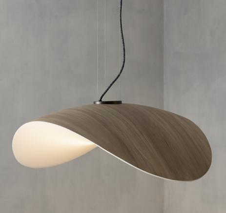 Front view of an organic pendant light for contemporary architectural interiors.